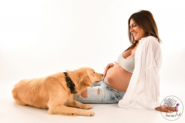 grossesse-toutunart-chien-femme-photo-studio-bruxelles-auderghem-woluwe-boistfort-amour