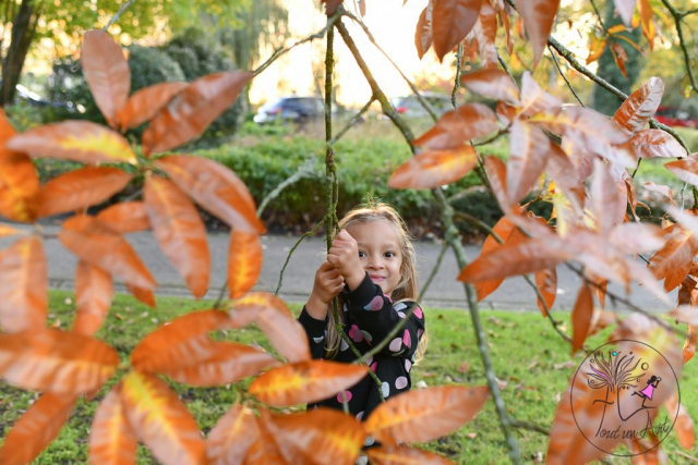 tout-un-art-be-reportage-enfants-familles-grossesse-freestyle-bruxelles-brabant-wallon-auderghem-woluwe-saint-lambert-watermael-boisfort-wavre-waterloo-zwangerschap-foto-reportage-brussel (59