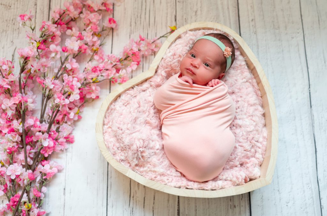 Tout-un-art-photographe-Bruxelles-Auderghem-Exterieur-studio-grossesse-woluwe-watermael-wavre-nouveau-ne-plumes-ailes-ange-noir-et-blanc-nouveau-ne-ours-bébé-nu-automne-vert-bonne-nuit